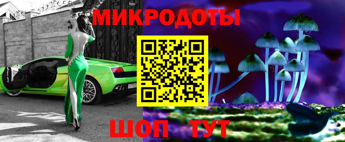 Псилоцибиновые грибы Cubensis  Вход с VPN  сколько стоит  Светлоград 