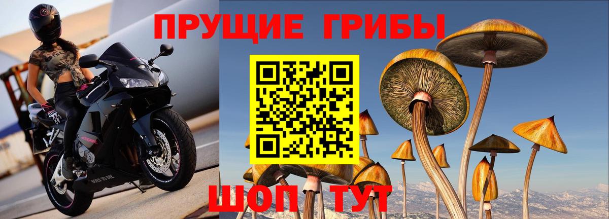 Псилоцибиновые грибы мухоморы Светлоград